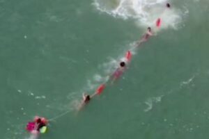 ライフガードが見事な連携、人間の鎖を作り沖に流された人を救助【フロリダ】