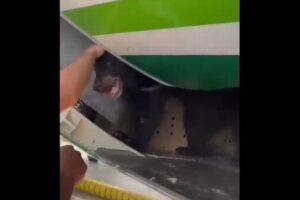 イラク航空の貨物室からクマが逃げ出し、フライトが遅延に