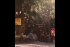 イタリアで土石流が発生、通りに突然、濁流が噴出する【動画】