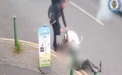 凶暴な犬が突然、ラブラドゥードルを襲撃、英警察が動画を公開