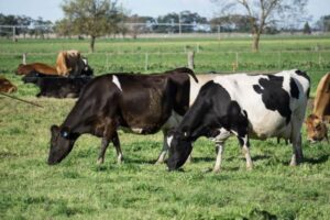 メタンを食べるバクテリア、地球温暖化の速度を遅らせる可能性