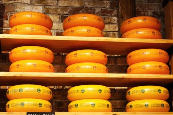 イタリアで倉庫の棚が倒壊、数千個のチーズの下敷きになり男性が死亡