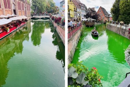 【悲報】環境活動団体さん、川を蛍光緑に染めてお魚の命を奪う