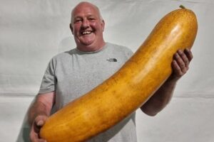 園芸家の男性が、超巨大サイズのキュウリを栽培【イギリス】