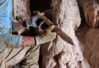 死海の畔にある洞窟から、ローマ時代の保存状態の良い4本の剣を発見