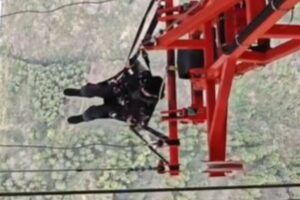 中国の吊り橋にあるアトラクション、人間が勢いよく落下していく姿が恐ろしい【動画】