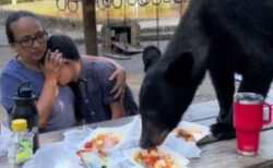 メキシコの公園でクマが接近、眼の前で食べ物を漁る姿に人々が凍りつく