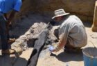 46万年前に人類の祖先が作った？最古の木の遺物をアフリカの岸辺で発見