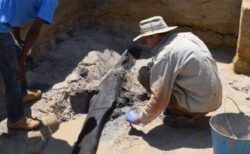 46万年前に人類の祖先が作った？最古の木の遺物をアフリカの岸辺で発見