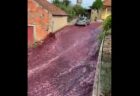 【ポルトガル】蒸留所のタンクが破裂、大量の赤ワインが道路に溢れる