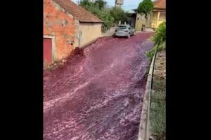 【ポルトガル】蒸留所のタンクが破裂、大量の赤ワインが道路に溢れる