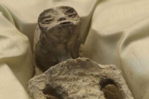 メキシコの議会でUFOに関する公聴会が開催、宇宙人らしき遺体も登場