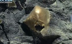 アラスカ沖の海底で、科学者が謎めいた金色の物体を発見