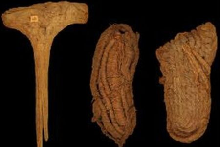 スペインで発見された古代の履き物、ヨーロッパ最古、約6000年前に作られたと判明
