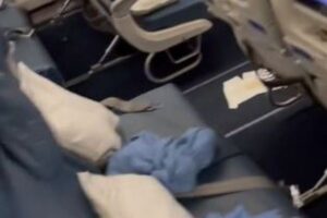 乗客が機内で下痢を漏らしたため、航空機が引き返し緊急着陸【動画】