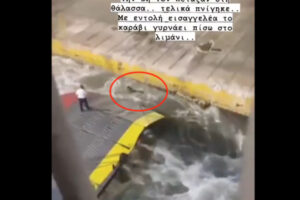 フェリーの出発ぎりぎりに来た男性客、船員に乗船拒否され、海に落とされ溺死