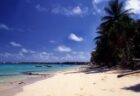 小島嶼国が国際海洋法裁判所に提訴、温室効果ガスの排出を「汚染」と認めるよう求める