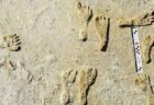 米で発見された人類の足跡を再び分析、約2万1000年前のものだと判明