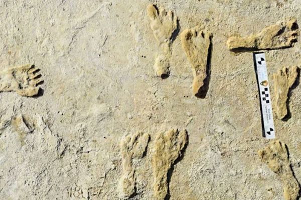 米で発見された人類の足跡を再び分析、約2万1000年前のものだと判明