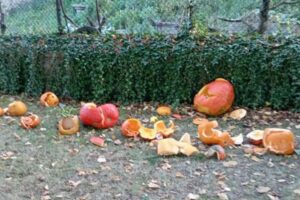 カトリックの神父が、子供の作ったハロウィーンのカボチャを破壊