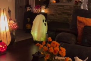 ナイス・アイディア！お掃除ロボット「ルンバ」を使ったハロウィーン風お化け