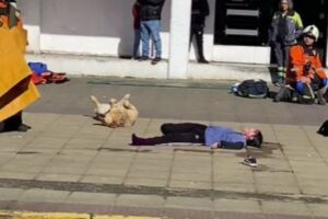 救助訓練中、負傷した役の人を真似、ワンコも倒れたふりをする【チリ】