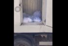 ガザ地区で安置所に入りきらない遺体をアイスクリーム・トラックに入れている