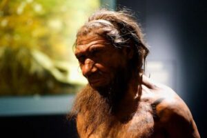 なぜ、現代のヨーロッパ人にはネアンデルタール人の遺伝子が少ないのか？