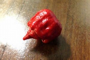 カナダ人の男性、世界一辛い唐辛子を50個食べ、最速記録を更新