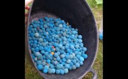 ミステリアスな青いボール、英の海岸に1000個以上も打ち上がる