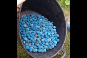 ミステリアスな青いボール、英の海岸に1000個以上も打ち上がる