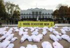 ホワイトハウス前に無数の白い遺体袋、ガザ地区の停戦を呼びかける
