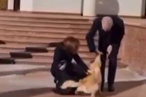モルドバ大統領の愛犬、オーストリア大統領の手を噛んでしまう