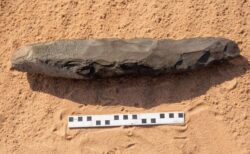 サウジで発見された50cmもある古代の石斧、世界最大である可能性