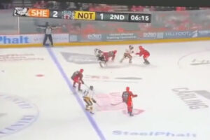 プロアイスホッケー選手が試合中の異常なアクシデントで死亡