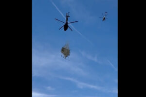 チェコのテレビタレント、注目されるためにヘリから100万ドルをばら撒く