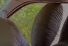 スリランカで、ゾウが車の窓を叩き割り、食べ物を漁る【動画】