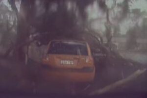 豪で落雷により木が倒れ、車から離れた男性が間一髪、難を逃れる