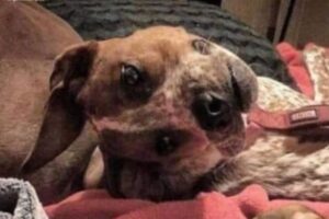 インスタに不思議な画像が投稿され、ユーザーも困惑