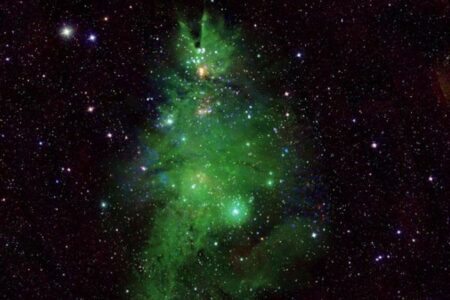 宇宙空間にクリスマスツリーそっくりな星団、NASAが画像を公開