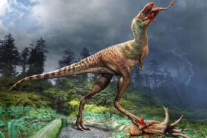 若いティラノサウルスの胃の内容物を特定、成長のたびに獲物を変えていた可能性