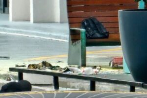 米のイスラエル領事館の前で、デモ参加者が焼身自殺を図る