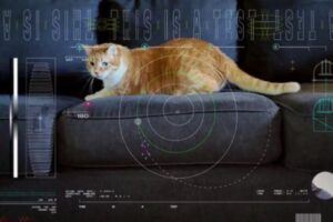 ニャンコが映った映像、3000万キロ離れた宇宙から送られてきた！
