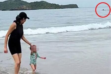 ビーチで遊ぶ母子の動画に、海で襲われた男性の姿が偶然、映っていた！【メキシコ】