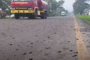 中米のホンジュラスでカエルが大量発生、道路にも溢れて交通も混乱