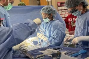 確率は5000万分の1、2つの子宮を持った女性が双子の女児を出産