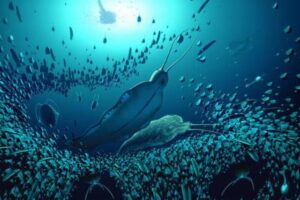 5億年前に生息していた海の生物、長い触角と顎を持つ化石を発見