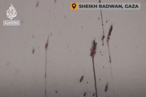 イスラエル軍がガザ地区で民間人を処刑か、虐殺された男性の妻が訴える