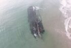 ウクライナ軍が水上ドローンを使い、ロシア軍の軍艦を撃沈したと発表【動画】