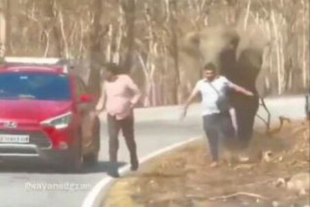 インドで観光客がゾウに追いかけられ、踏みつけられそうになる【動画】